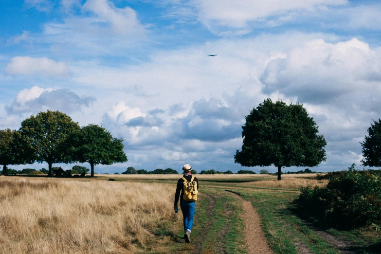 a man walking down a dirt road in a field, by Rachel Reckitt, pexels contest winner, blue skies, birds flying in the distance, bisley, a woman walking