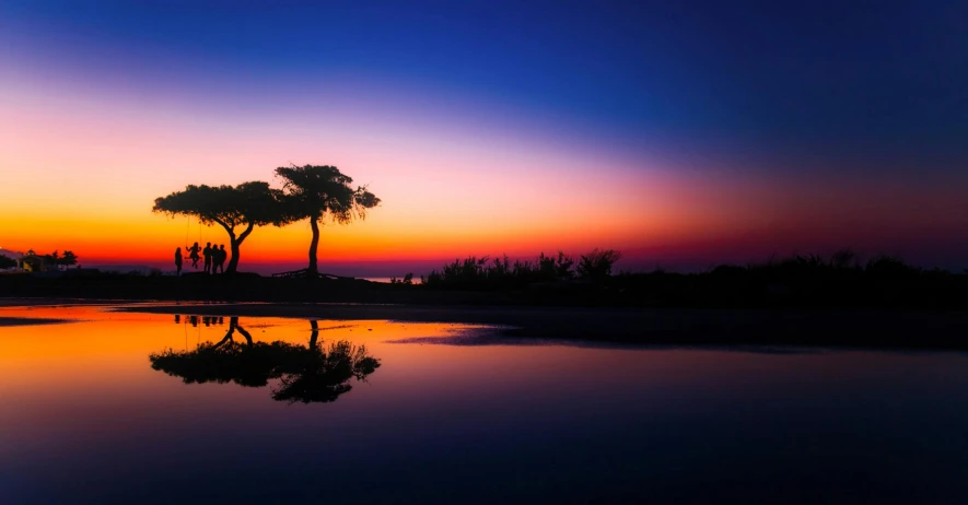 a couple of trees sitting next to a body of water, unsplash contest winner, romanticism, in socotra island, refracted sunset lighting, silhouette, infinity pool mirrors
