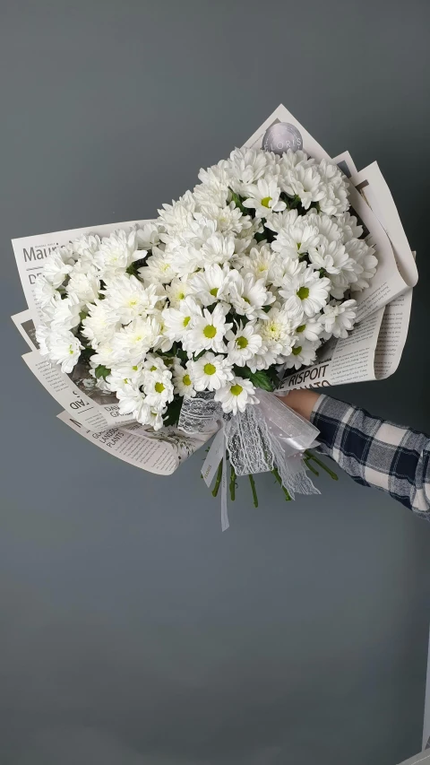 a man holding a bunch of white flowers, newspaper style, trimmed with a white stripe, chrysanthemums, large highlights