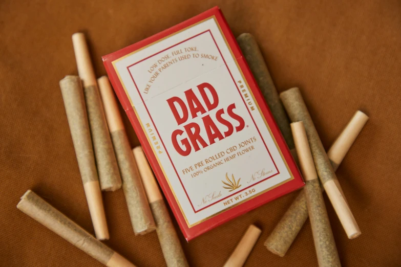 a book sitting on top of a pile of cigarettes, in a grass field, dad bod, red grass, label