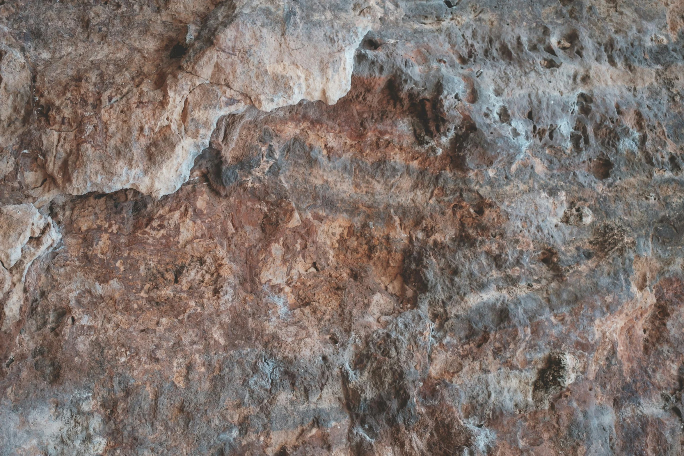 a close up of a rock with a bird on it, an album cover, by Linda Sutton, unsplash, australian tonalism, seamless texture, brown red blue, natural cave wall, background image