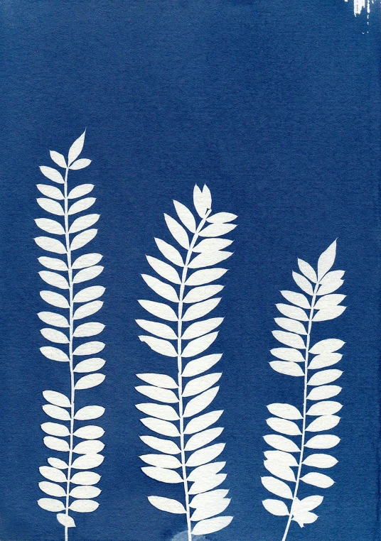 three white leaves on a blue background, a screenprint, inspired by Saitō Kiyoshi, folk art, fern, overlooking, dark blue and white robes, extra detail