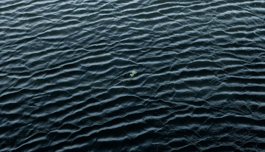 a single leaf floating on top of a body of water, an album cover, by Elsa Bleda, hurufiyya, fisherman, drone photograpghy, currents, shot on hasselblad