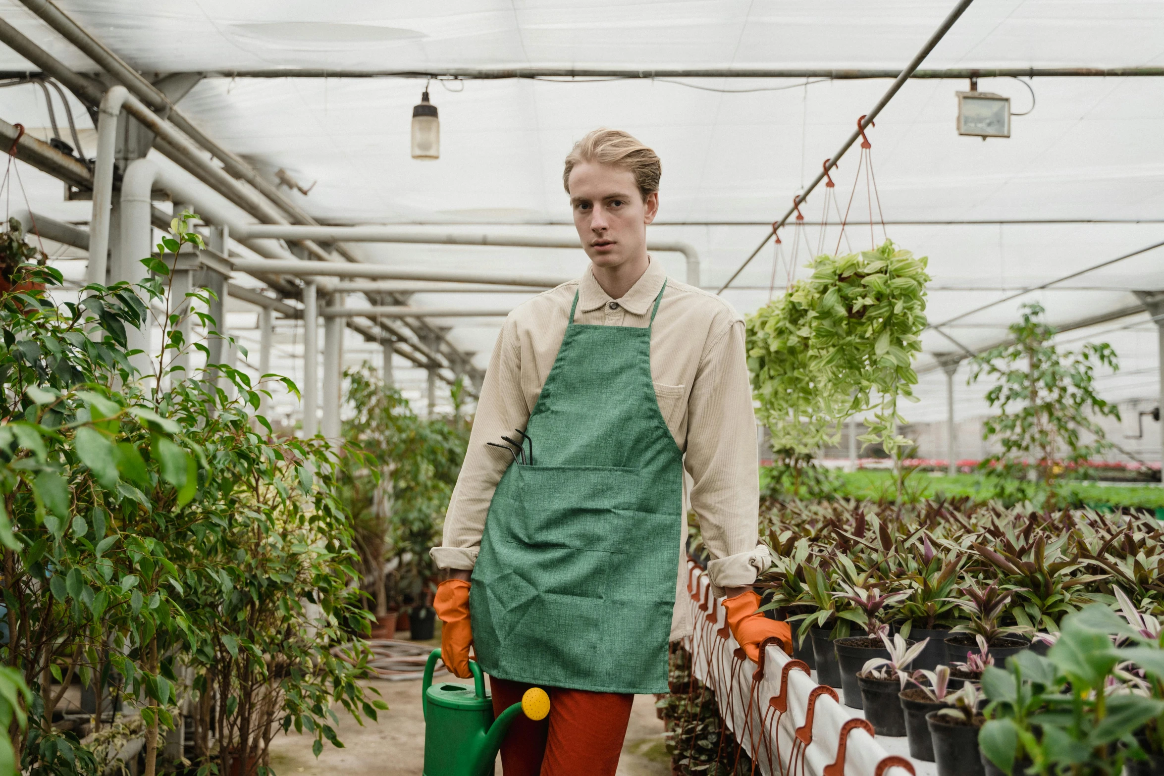 a man standing in a greenhouse holding a watering can, inspired by August Sander, pexels contest winner, apron, green corduroy pants, neo rauch and nadav kander, sophia lillis