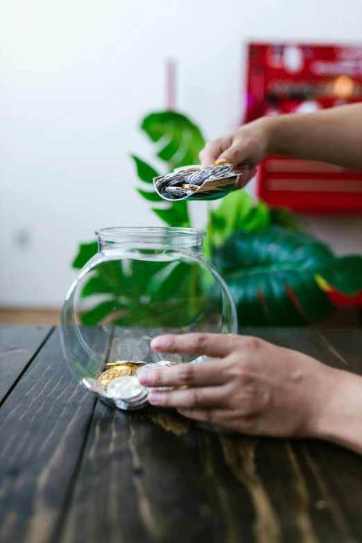 a person holding a spoon over a fish bowl, with piles of coins around it, plants in glass vase, hero shot, large