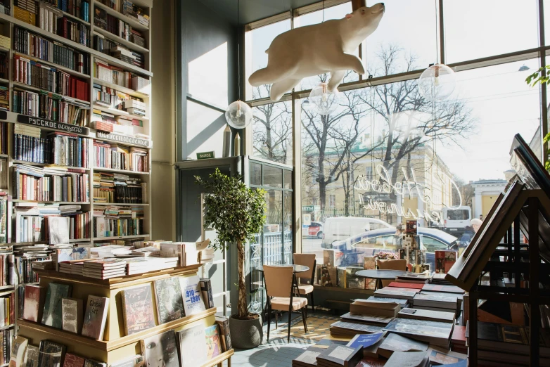a room filled with lots of books next to a window, by Constantin Hansen, maximalism, storefront, pekka halonen, thumbnail, sunny lighting