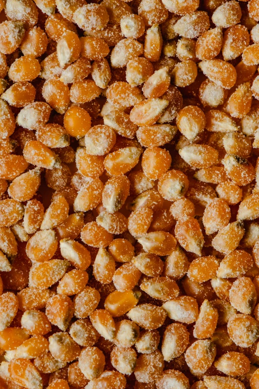 a pile of peeled oranges sitting on top of a table, peanuts, zoomed out to show entire image, sugar sprinkled, corn
