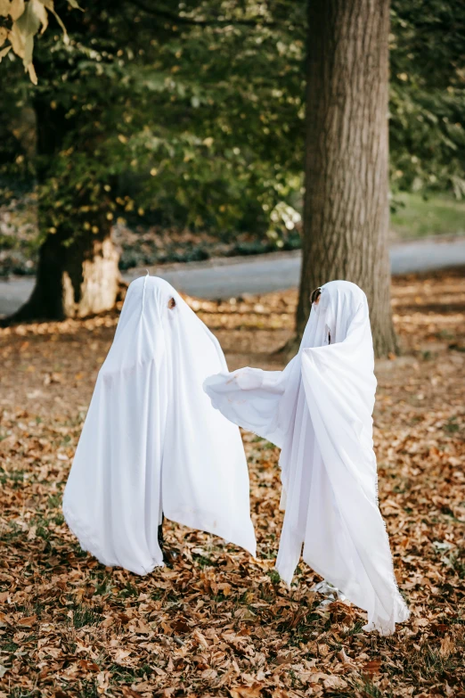 two ghosts hanging from a tree in a park, white cloth, wearing a fancy dress, 2019 trending photo, blank