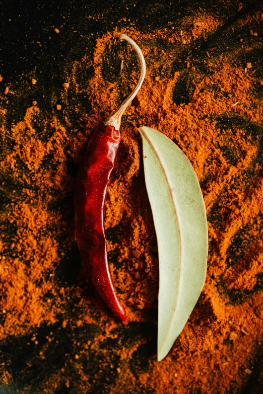 a red chili sitting on top of a pile of spices, by Elizabeth Durack, photograph from above, red sand, leaf, vanilla