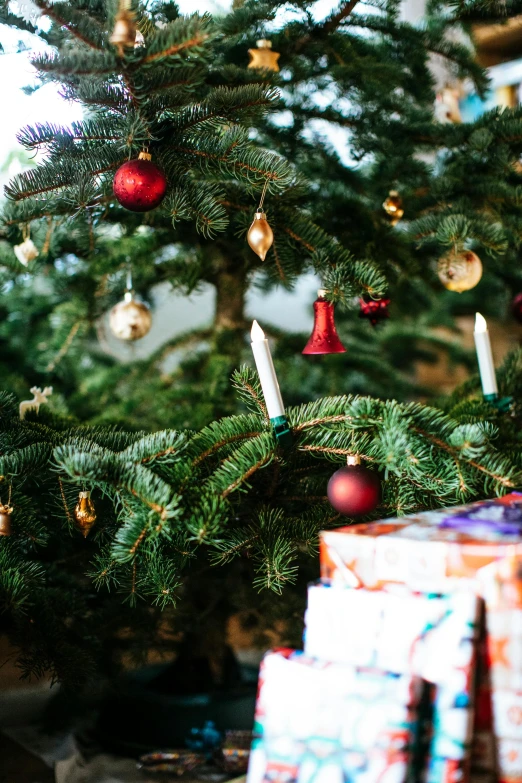 a christmas tree with presents under it, by Jakob Emanuel Handmann, pexels, lush plant and magical details, middle close up, thumbnail, candles in foreground