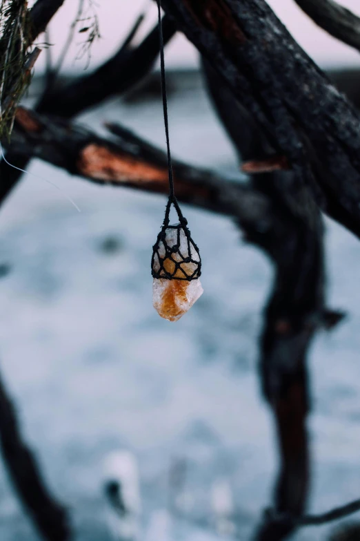 a bird feeder hanging from a tree in the snow, inspired by Elsa Bleda, unsplash, conceptual art, glowing quartz crystal skull, amber jewelry, high angle close up shot, pendant