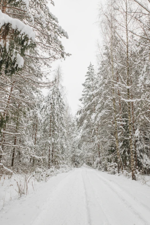 a snow covered road in the middle of a forest, espoo, ((forest)), fan favorite, ca