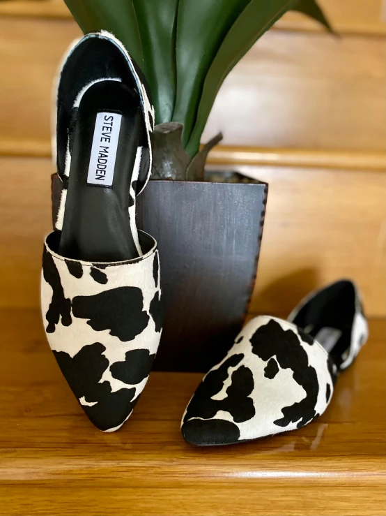 a pair of shoes sitting on top of a wooden table, white with black spots, cow, thumbnail, flat lay