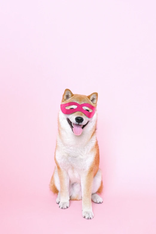 a brown and white dog wearing a pink mask, an album cover, inspired by Shiba Kōkan, trending on pexels, demur, smileeeeeee, superhero, rinko kawauchi
