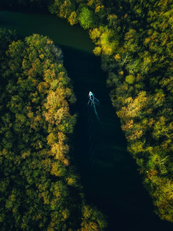 a boat in the middle of a river surrounded by trees, by Sebastian Spreng, pexels contest winner, looking down on the camera, sup, cinematic lut, full 8k high quality resolution