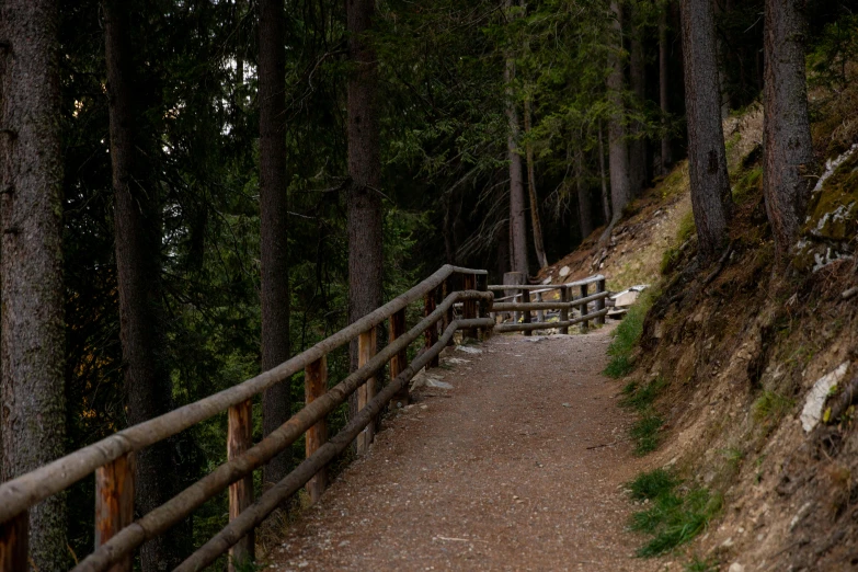 a wooden fence along a path in the woods, by Carlo Martini, pexels contest winner, dolomites, stairs, paved, thumbnail