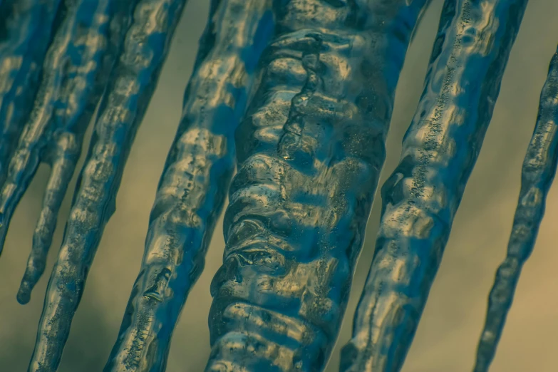 a group of icicles hanging from the side of a building, a microscopic photo, by Adam Marczyński, unsplash, plasticien, carved from sapphire stone, 3d printed line texture, reeds, 33mm photo