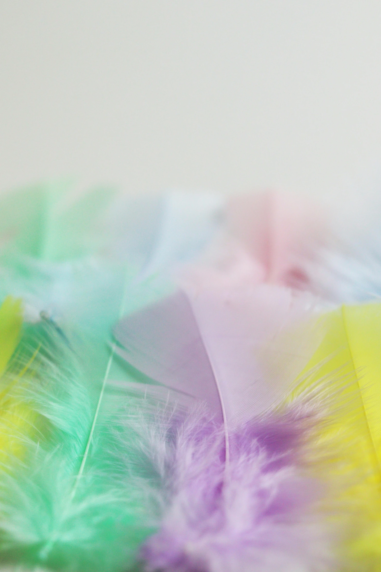 a bunch of feathers sitting on top of a table, lots of pastel colour, up-close, product shot, chiffon