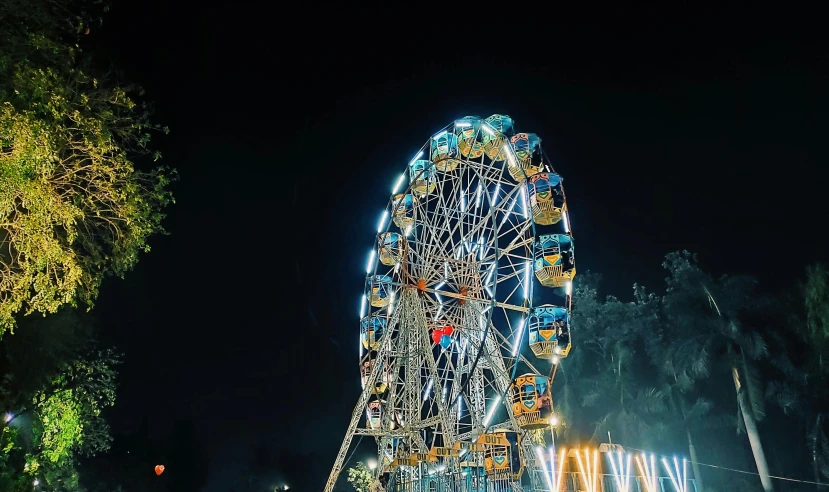 a large ferris wheel sitting in the middle of a park, pexels contest winner, hurufiyya, avatar image, nightlife, carneval, 2 0 2 2 photo