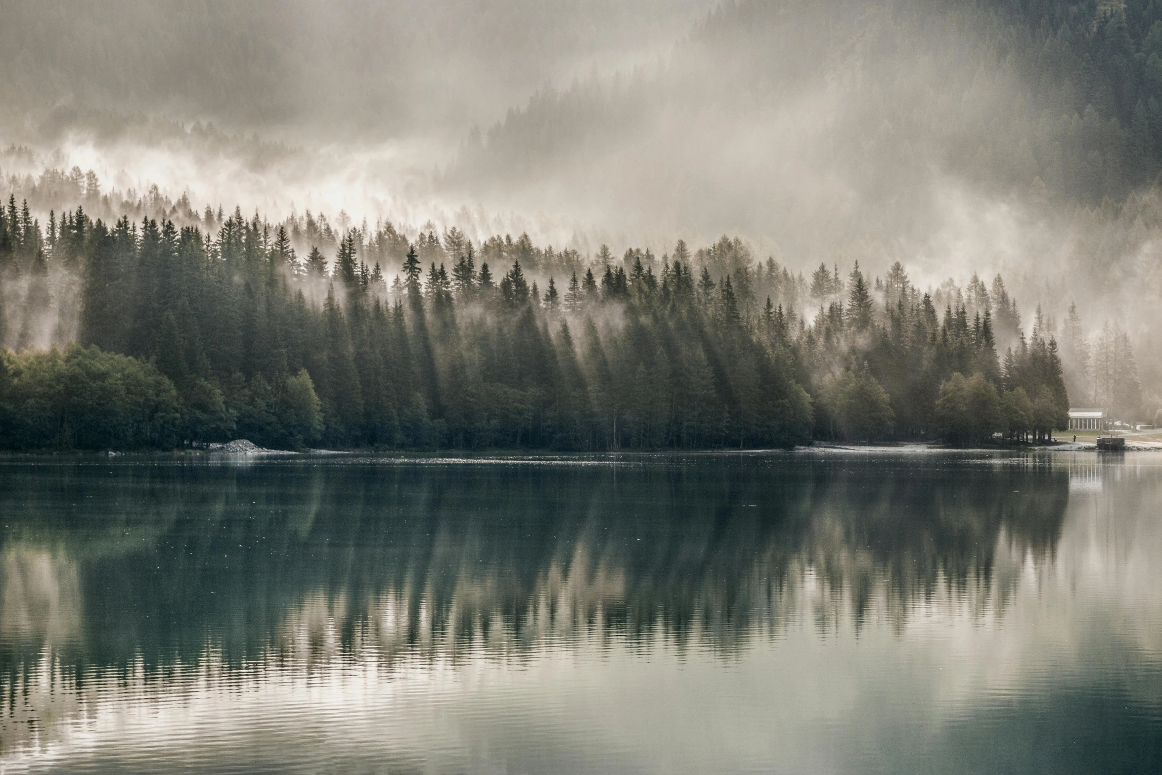 a large body of water surrounded by trees, a picture, inspired by Pierre Pellegrini, unsplash contest winner, moody hazy lighting, spruce trees on the sides, whistler, metallic reflections