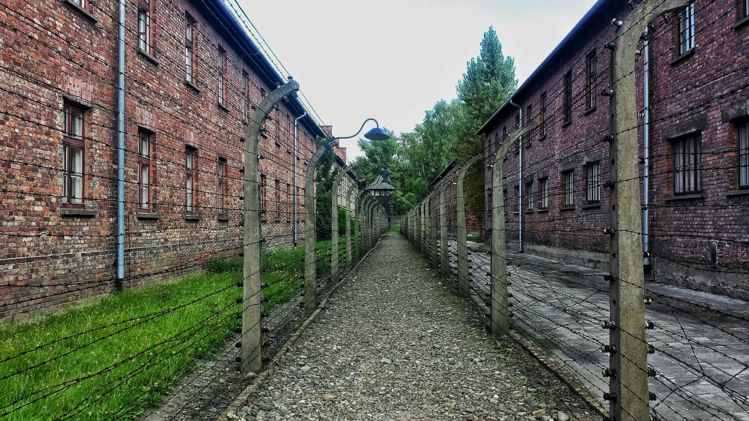 a row of brick buildings next to a barbed wire fence, a colorized photo, by Lucia Peka, pexels contest winner, infinitely long corridors, auschwitz camp, instagram story, 🚿🗝📝