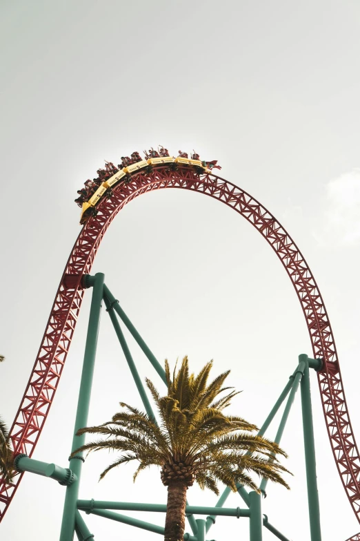 a roller coaster at a theme park with palm trees in the foreground, pexels contest winner, hypermodernism, yellow and red, mammoth, over the shoulder, rectangle