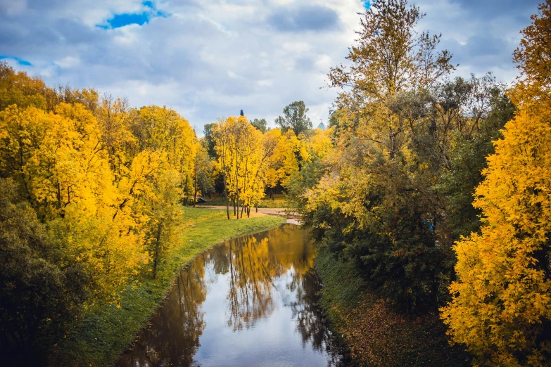 a river running through a lush green forest, a picture, by Svetlin Velinov, pexels contest winner, golden autumn, canals, on a yellow canva, wide high angle view