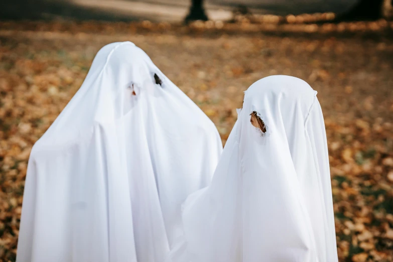 a couple of ghosts standing next to each other, trending on pexels, white cloth, white, october, veiled