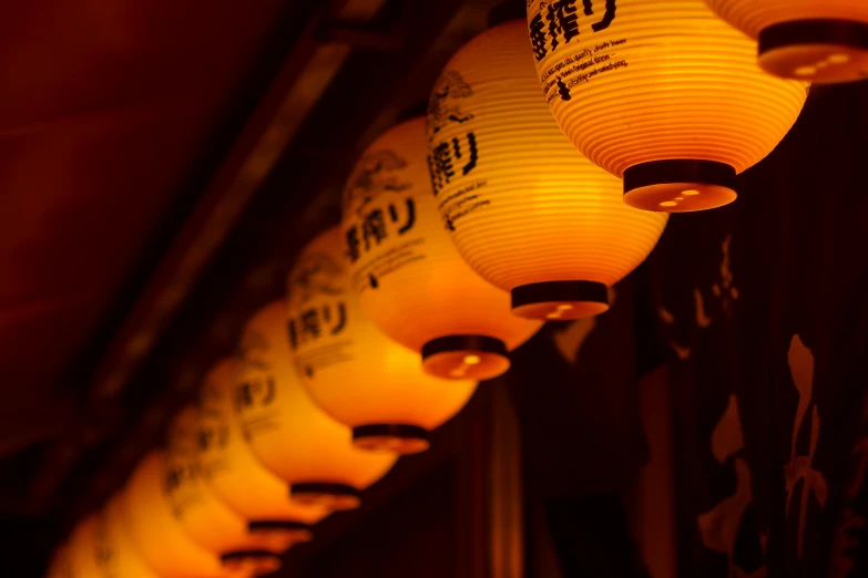 a row of paper lanterns hanging from a ceiling, inspired by Kanō Shōsenin, pexels contest winner, ukiyo-e, orange neon backlighting, portrait photo, sake, brown