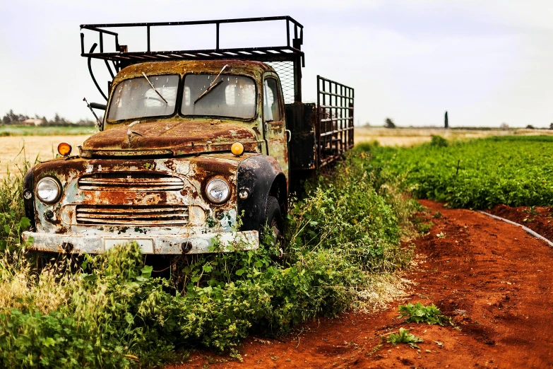 an old truck sitting in the middle of a field, unsplash, photorealism, rojava, australia intricate, getty images, ((rust))