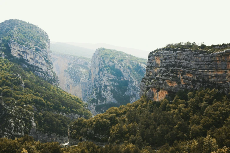 a herd of cattle standing on top of a lush green hillside, pexels contest winner, les nabis, inside a gorge, mediterranean, grey, still from the movie ex machina