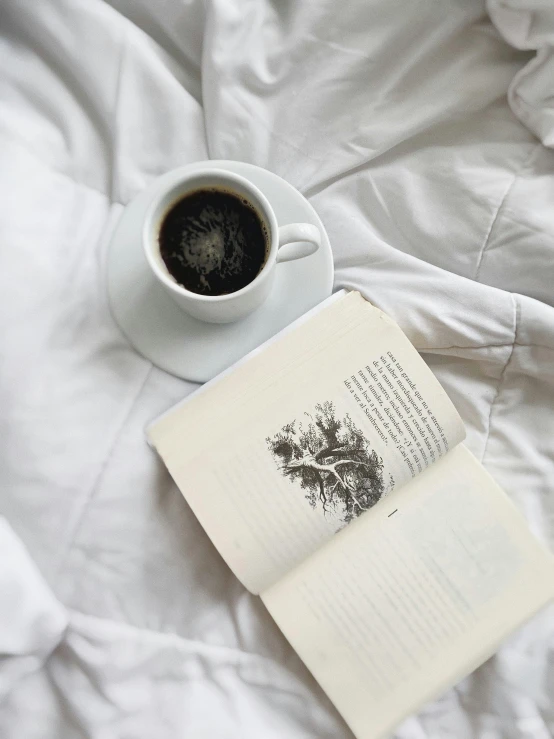 an open book sitting on top of a bed next to a cup of coffee, a photo, by Lucia Peka, pexels contest winner, romanticism, crisp face, thumbnail, black, on white