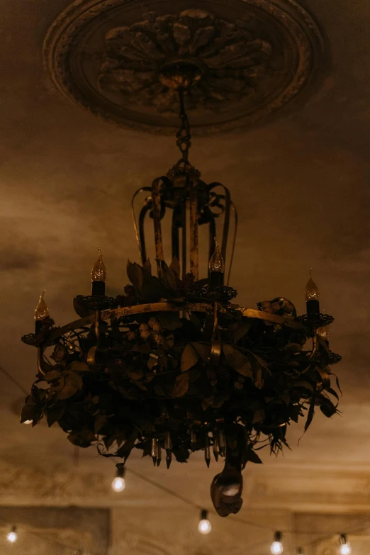 a chandelier hanging from the ceiling in a room, an album cover, inspired by Jan Lievens, unsplash contest winner, kris kuksi, with black vines, ( ( theatrical ) ), dark sky