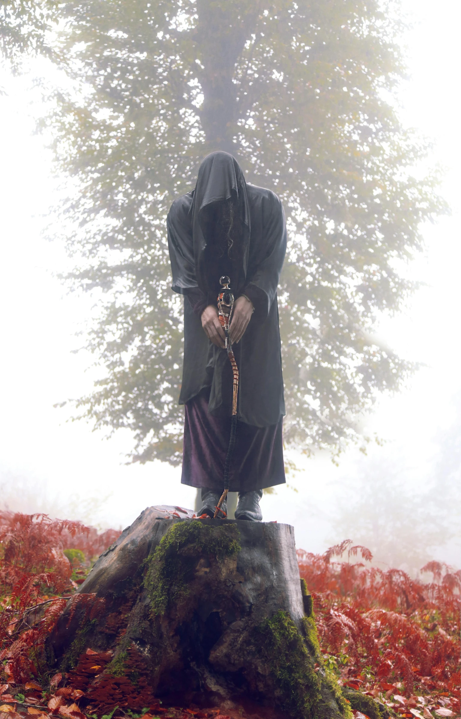 a person standing on top of a tree stump, a statue, wearing a dark hood, unnerving mist, burka, press shot