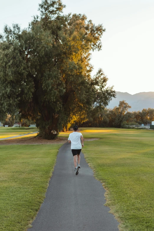 a man riding a skateboard down a road next to a tree, palm springs, in a large grassy green field, local gym, suns