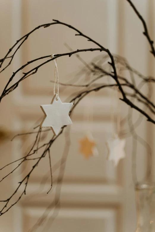 a close up of a branch with a star on it, a marble sculpture, by Ruth Simpson, unsplash, light and space, white ceramic shapes, festive atmosphere, hanging, close-up product photo