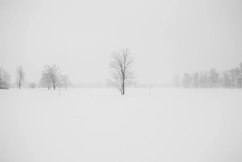 a black and white photo of a snow covered field, by Karl Buesgen, pexels contest winner, minimalism, golf course, from wheaton illinois, tree's, colorless