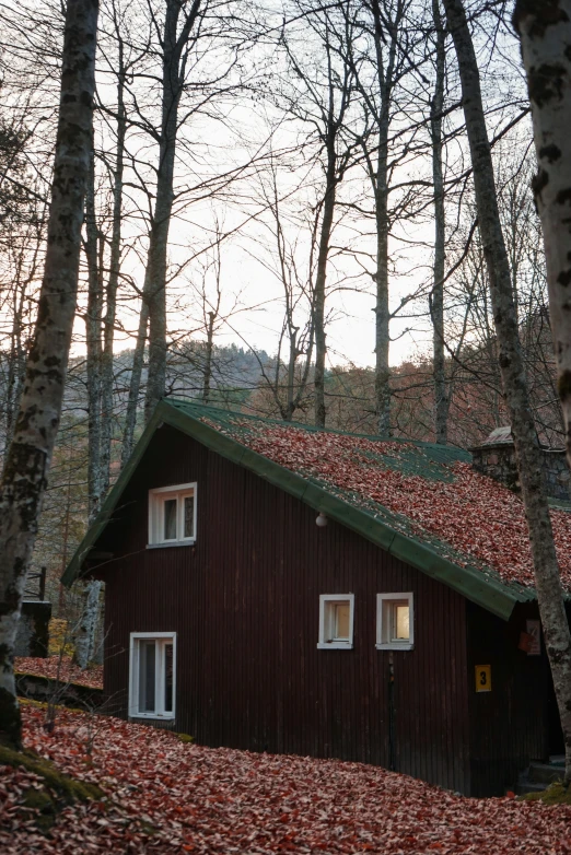 a cabin in the woods with leaves on the ground, a picture, inspired by Elsa Bleda, unsplash, medium format. soft light, red roofs, low quality photo, tourist photo