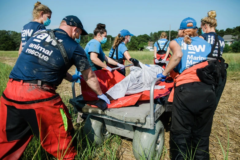 a group of people standing around a person on a stretcher, mark mann, thumbnail, hero, watch photo