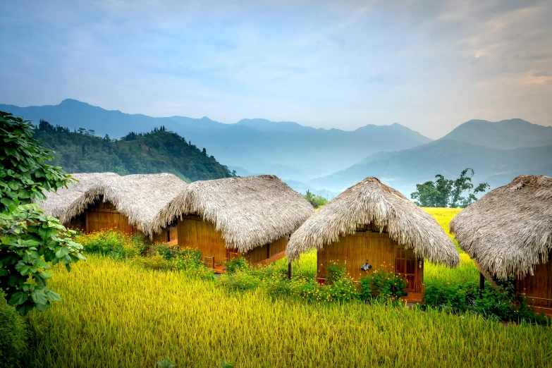 a group of huts sitting on top of a lush green field, by Alice Mason, trending on unsplash, sumatraism, avatar image, vietnam, profile image, luxurious wooden cottage