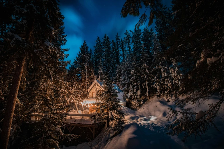 a cabin in the woods at night, by Sebastian Spreng, pexels contest winner, lush winter forest landscape, whistler, thumbnail, chalet