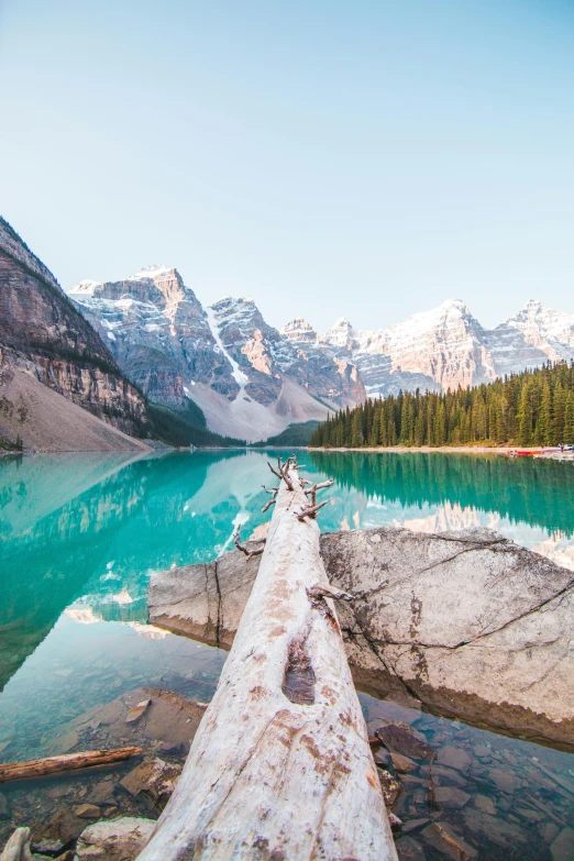 a log in the middle of a lake with mountains in the background, by Patrick Ching, pexels contest winner, banff national park, turquoise horizon, canyons, natural morning light