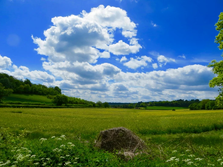 a large hay bale sitting in the middle of a field, by Jan Rustem, blue sky and white clouds, lush pastoral woodland scene, slide show, cottagecore