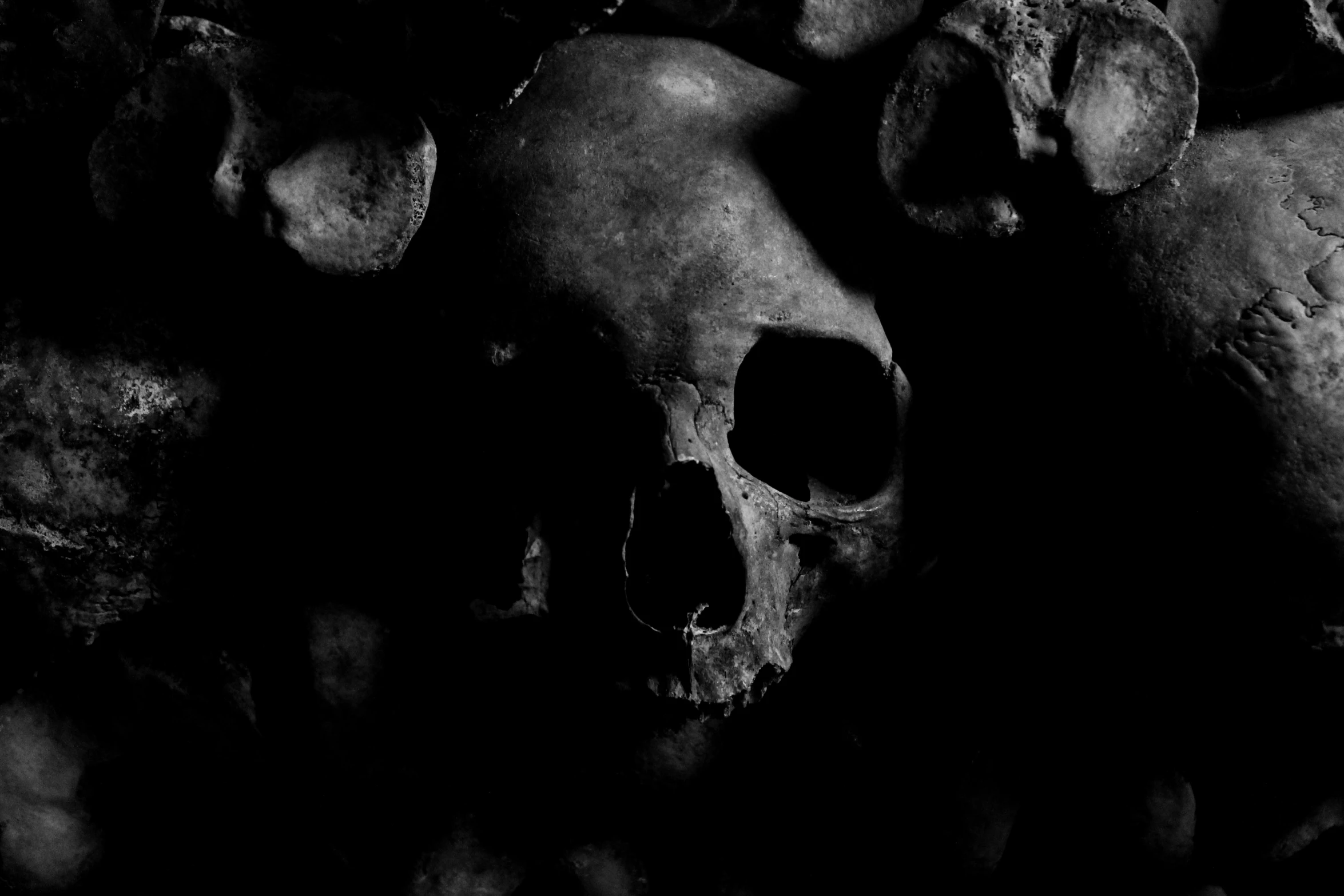 a bunch of skulls sitting next to each other, an album cover, by Johannes van Haensbergen, pexels contest winner, dark underground, deathly skin, dungeons, profile picture 1024px