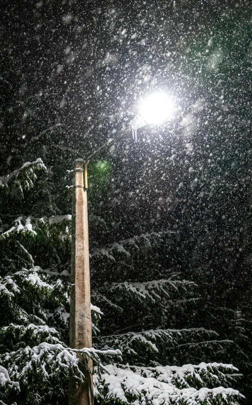 a street light in the middle of a snowy night, by Matt Cavotta, pexels contest winner, light snowfall, hyperdetailed photo, a wooden, snowstorm ::5