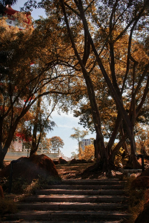 a path surrounded by trees on a sunny day, inspired by Tom Roberts, unsplash contest winner, singapore esplanade, panorama, sitting under a tree, brown colours