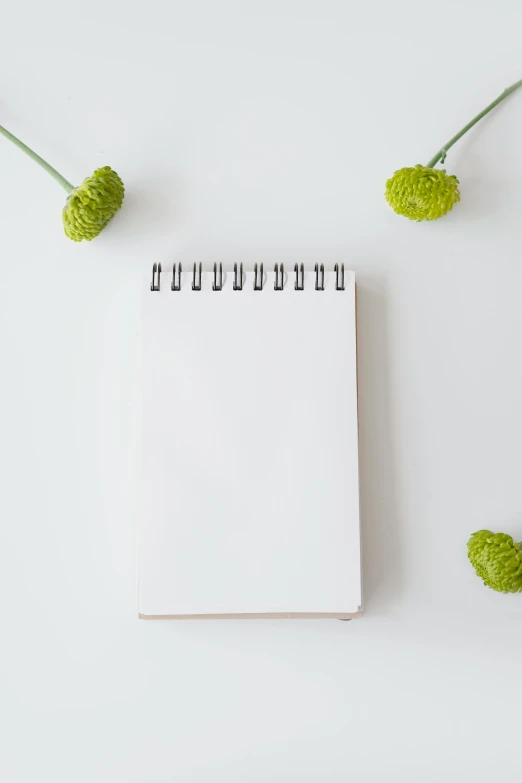 a notepad and some green flowers on a white surface, by Robbie Trevino, unsplash, 15081959 21121991 01012000 4k, card template, multiple stories, simple art