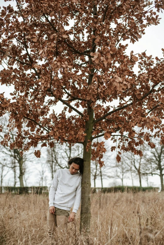 a man standing next to a tree in a field, an album cover, by Jan Tengnagel, trending on unsplash, visual art, wearing a white sweater, girl with brown hair, ((trees)), foliage clothing