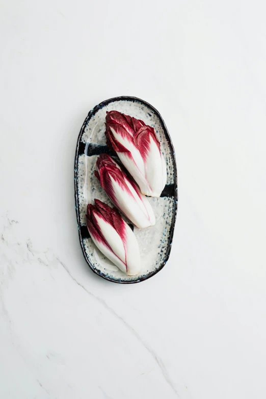 a plate with red and white radiches on it, a picture, inspired by Antonio Rotta, unsplash, cryogenic pods, pointè pose, angled, trimmed with a white stripe