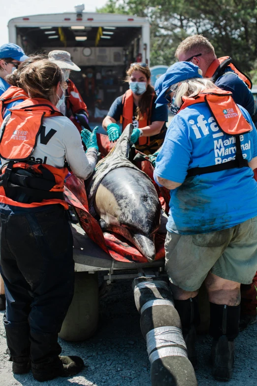 a group of people that are in the back of a truck, a photo, by Meredith Dillman, shutterstock, hurufiyya, dolphin snout under visor, injured, stranding straight, 2 0 2 2 photo